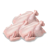 Baby Chicken 750 GR Each - Per piece