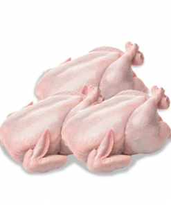 Baby Chicken 750 GR Each - Per piece