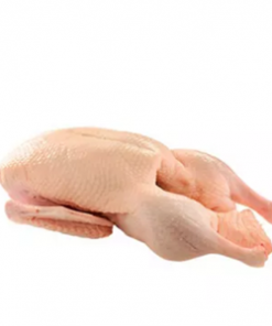 Duck 1885 GR Per Piece/Each