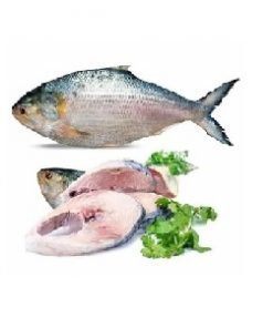 Bangladeshi Padma Hilsha (2 kg, Frozen)