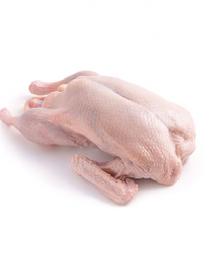 Whole Duck (Halal)